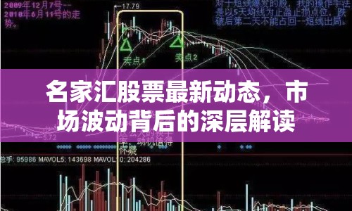 名家匯股票最新動(dòng)態(tài)，市場(chǎng)波動(dòng)背后的深層解讀