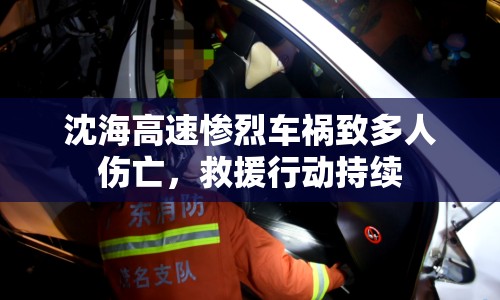 沈海高速慘烈車禍致多人傷亡，救援行動持續(xù)