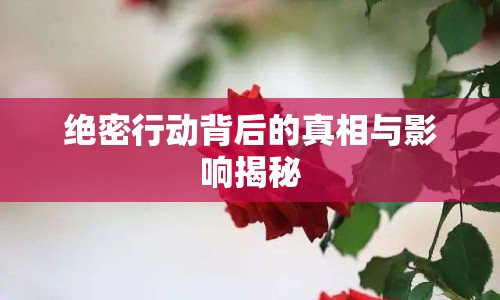 絕密行動(dòng)背后的真相與影響揭秘