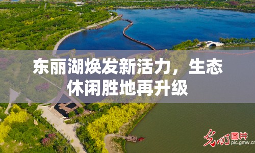 東麗湖煥發(fā)新活力，生態(tài)休閑勝地再升級