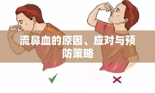 流鼻血的原因、應(yīng)對與預(yù)防策略