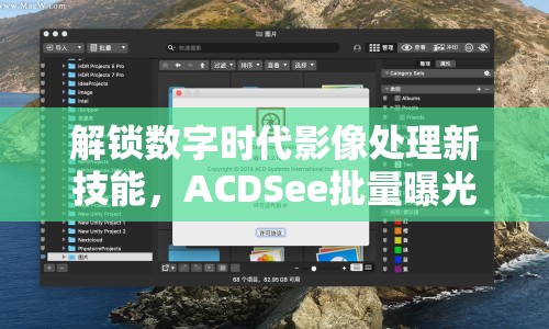 解鎖數(shù)字時代影像處理新技能，ACDSee批量曝光