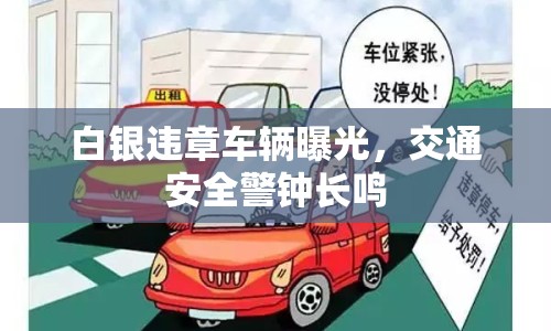 白銀違章車輛曝光，交通安全警鐘長鳴