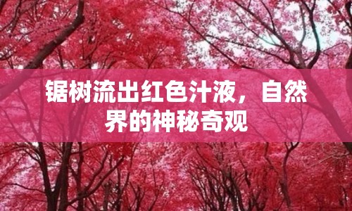 鋸樹流出紅色汁液，自然界的神秘奇觀