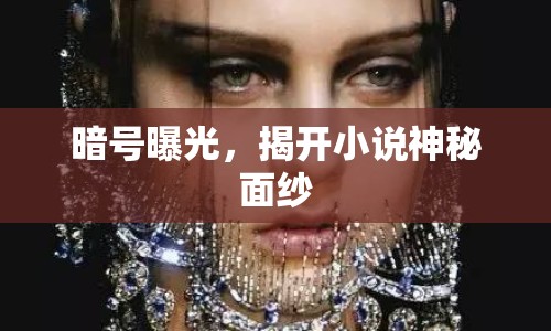 暗號(hào)曝光，揭開(kāi)小說(shuō)神秘面紗