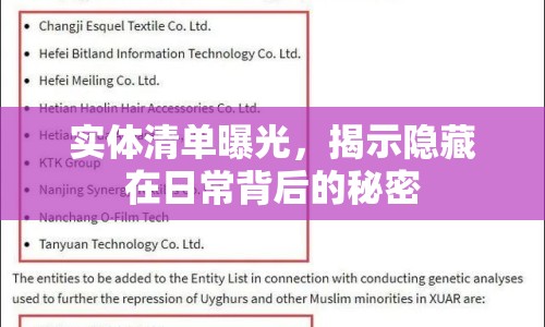實(shí)體清單曝光，揭示隱藏在日常背后的秘密
