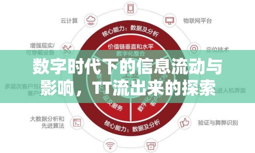 數(shù)字時代下的信息流動與影響，TT流出來的探索