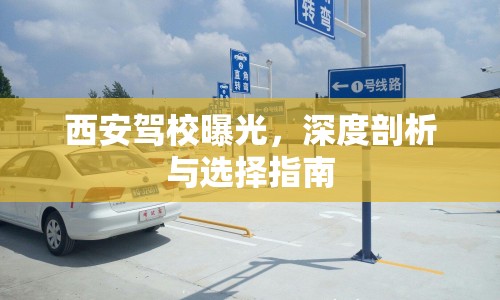 西安駕校曝光，深度剖析與選擇指南