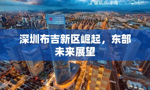 深圳布吉新區(qū)崛起，東部未來展望