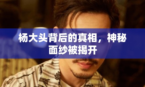 楊大頭背后的真相，神秘面紗被揭開