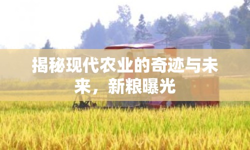 揭秘現(xiàn)代農(nóng)業(yè)的奇跡與未來，新糧曝光