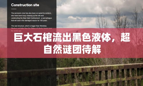巨大石棺流出黑色液體，超自然謎團待解