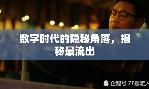 數(shù)字時代的隱秘角落，揭秘最流出