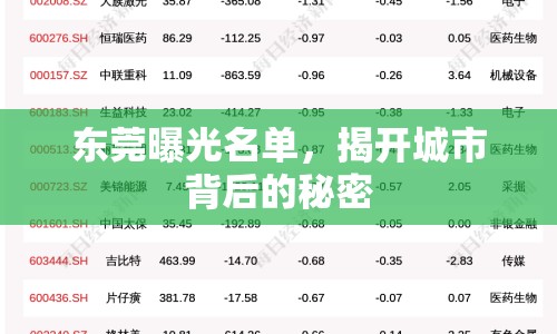 東莞曝光名單，揭開(kāi)城市背后的秘密