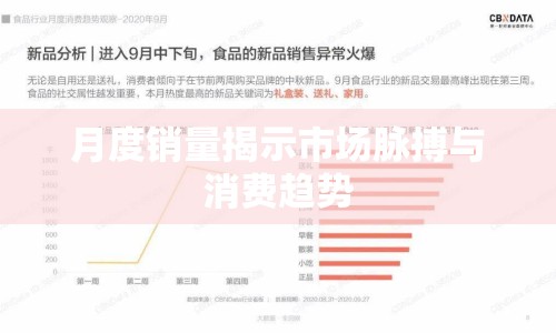 月度銷量揭示市場(chǎng)脈搏與消費(fèi)趨勢(shì)