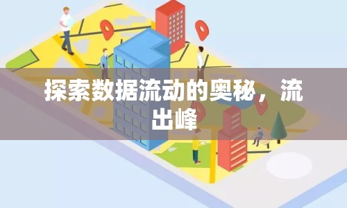 探索數(shù)據(jù)流動的奧秘，流出峰