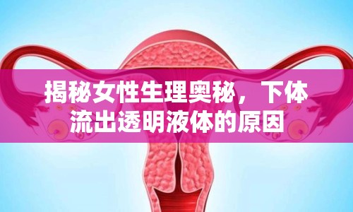 揭秘女性生理奧秘，下體流出透明液體的原因