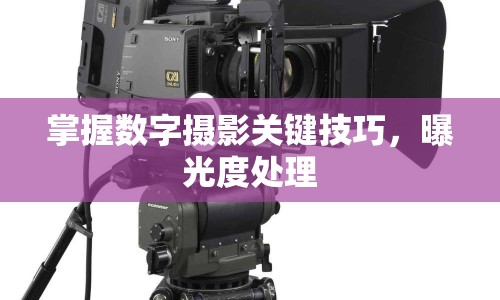 掌握數(shù)字?jǐn)z影關(guān)鍵技巧，曝光度處理