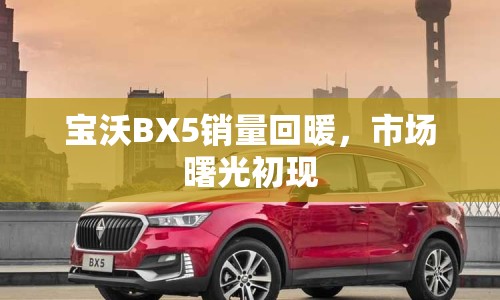 寶沃BX5銷量回暖，市場曙光初現(xiàn)