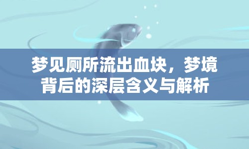 夢見廁所流出血塊，夢境背后的深層含義與解析