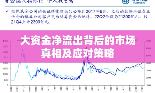 大資金凈流出背后的市場(chǎng)真相及應(yīng)對(duì)策略