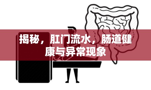 揭秘，肛門流水，腸道健康與異常現(xiàn)象