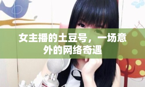 女主播的土豆號(hào)，一場(chǎng)意外的網(wǎng)絡(luò)奇遇