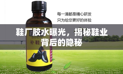鞋廠膠水曝光，揭秘鞋業(yè)背后的隱秘
