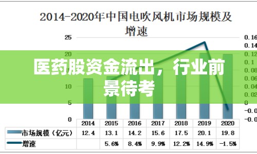 醫(yī)藥股資金流出，行業(yè)前景待考