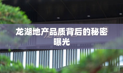 龍湖地產(chǎn)品質(zhì)背后的秘密曝光