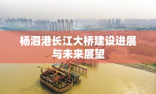 楊泗港長江大橋建設進展與未來展望