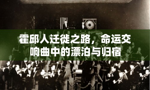 霍邱人遷徙之路，命運(yùn)交響曲中的漂泊與歸宿
