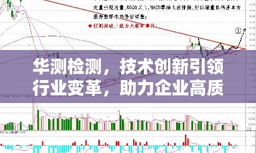 華測(cè)檢測(cè)，技術(shù)創(chuàng)新引領(lǐng)行業(yè)變革，助力企業(yè)高質(zhì)量發(fā)展