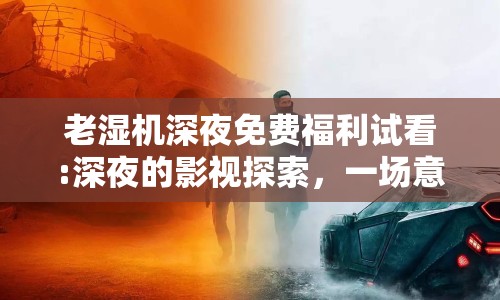 老濕機深夜免費福利試看:深夜的影視探索，一場意外的發(fā)現(xiàn)之旅