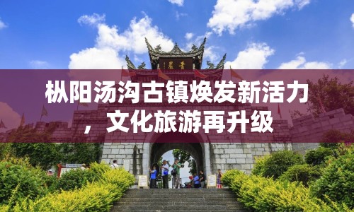 樅陽湯溝古鎮(zhèn)煥發(fā)新活力，文化旅游再升級