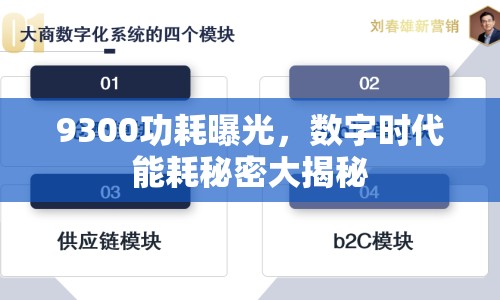 9300功耗曝光，數(shù)字時(shí)代能耗秘密大揭秘