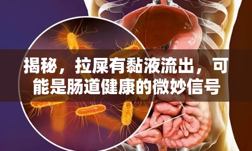 揭秘，拉屎有黏液流出，可能是腸道健康的微妙信號
