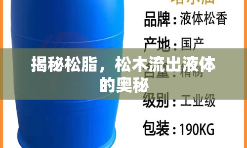 揭秘松脂，松木流出液體的奧秘