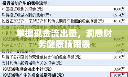 掌握現(xiàn)金流出量，洞悉財(cái)務(wù)健康晴雨表