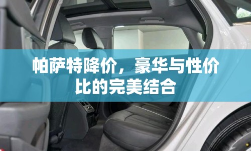 帕薩特降價，豪華與性價比的完美結(jié)合
