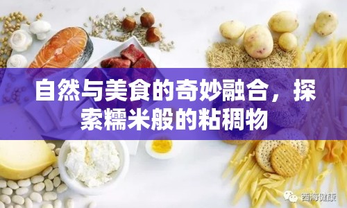 自然與美食的奇妙融合，探索糯米般的粘稠物