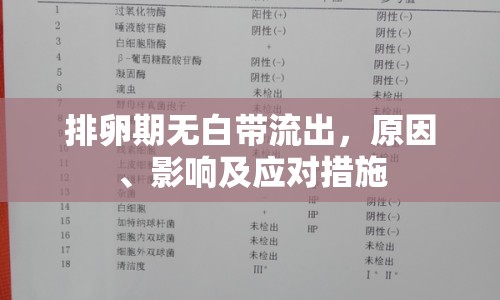 排卵期無白帶流出，原因、影響及應(yīng)對措施