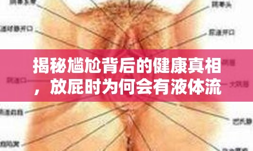 揭秘尷尬背后的健康真相，放屁時(shí)為何會有液體流出肛門？