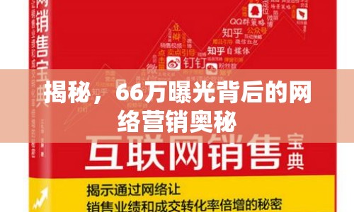 揭秘，66萬曝光背后的網(wǎng)絡(luò)營銷奧秘