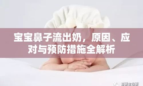 寶寶鼻子流出奶，原因、應(yīng)對與預(yù)防措施全解析