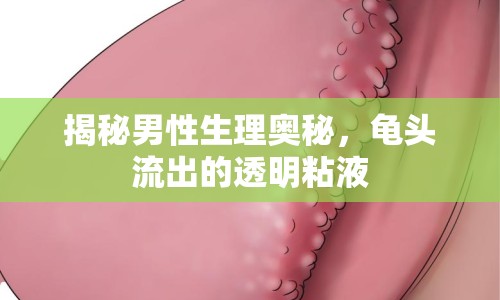 揭秘男性生理奧秘，龜頭流出的透明粘液