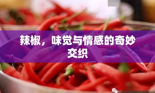 辣椒，味覺(jué)與情感的奇妙交織