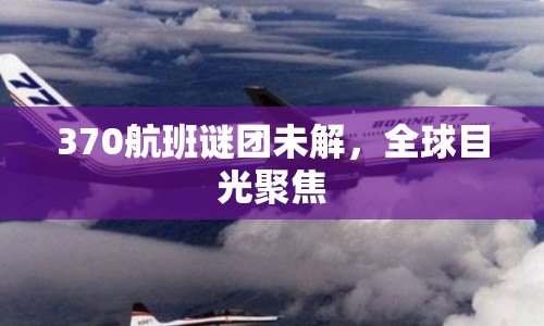 370航班謎團未解，全球目光聚焦