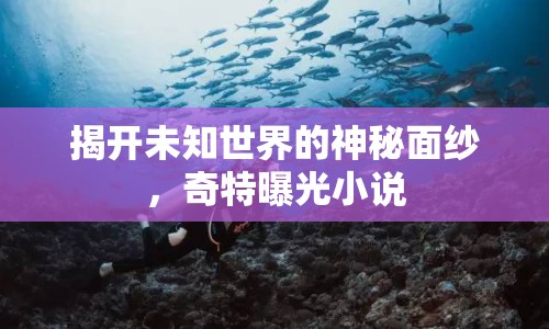 揭開未知世界的神秘面紗，奇特曝光小說