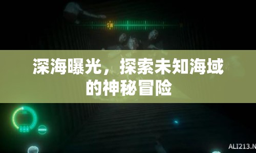 深海曝光，探索未知海域的神秘冒險